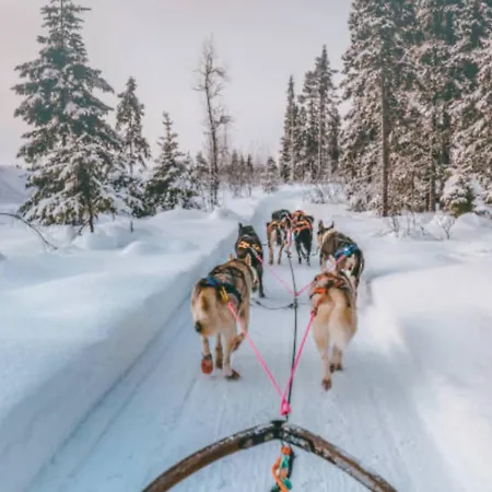 Σπίτι διακοπών In Out Premium Villawestwind B Levi